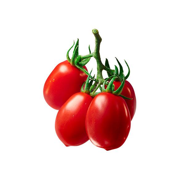 שרי תמר סוכריות 1ק"ג מארז