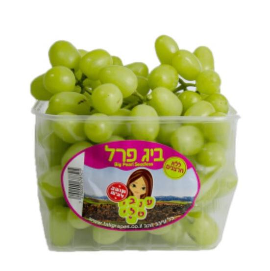  ענבי טלי בוטיק