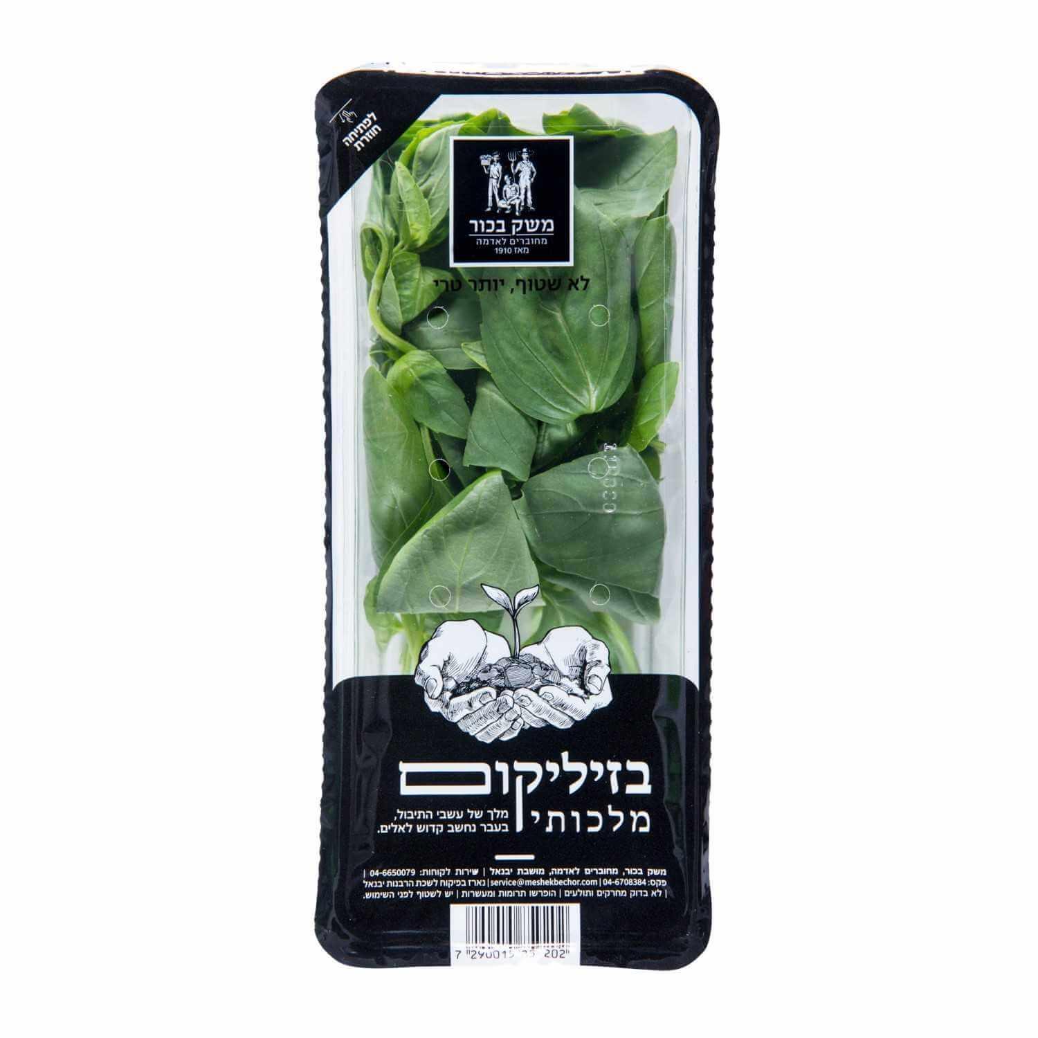 בזיליקום מארז 200 גרם