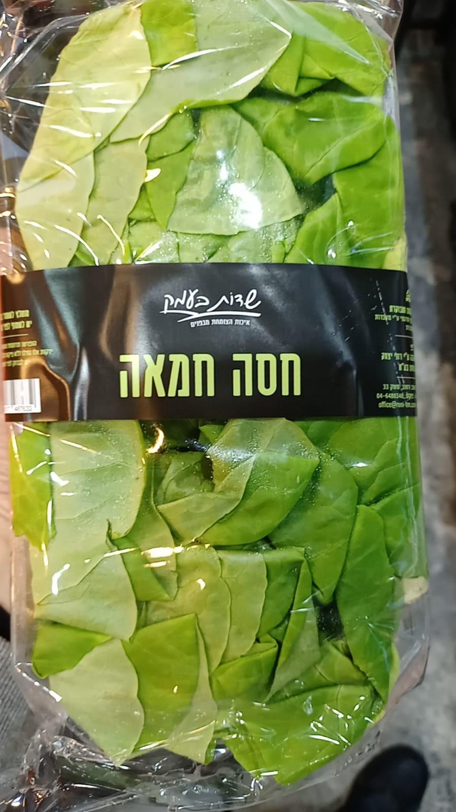 חסה חמאה