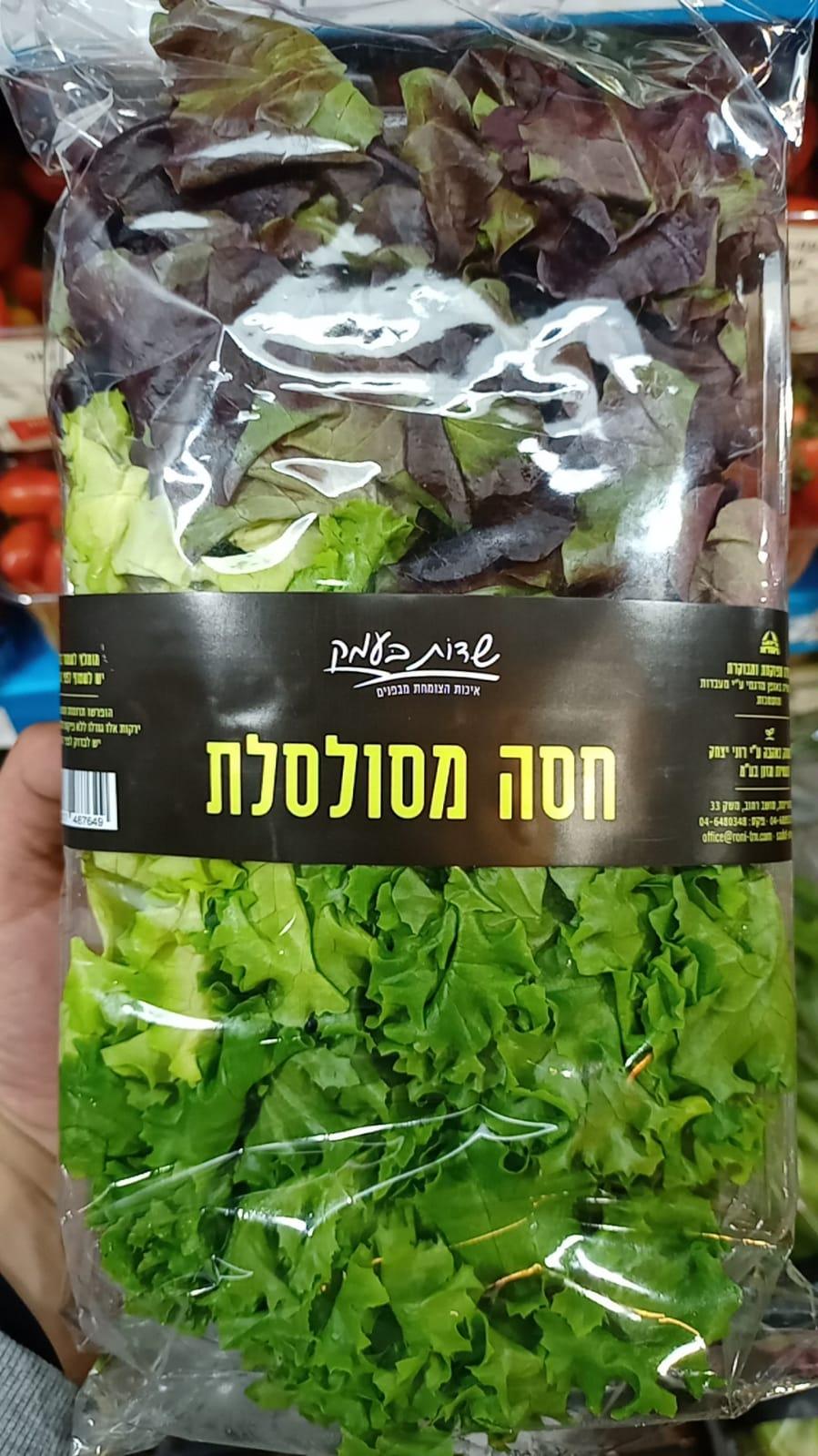 חסה מסולסלת
