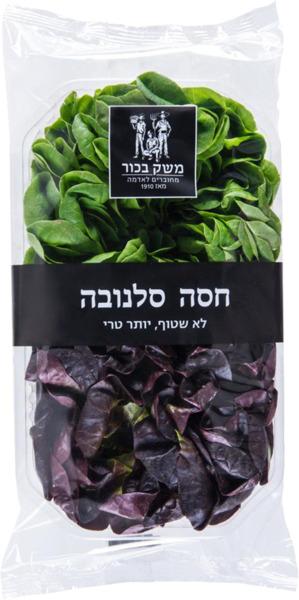 חסה סלנובה עלים 