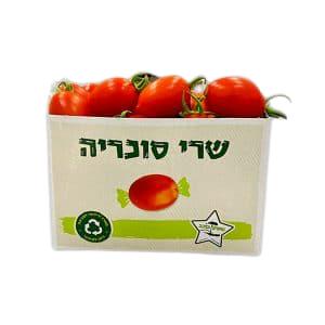 שרי סוכריה