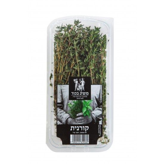 קורנית