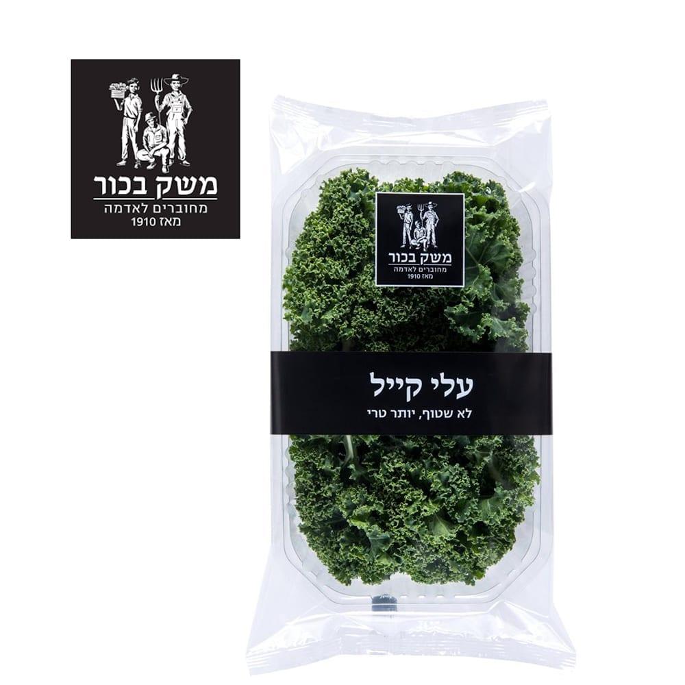 קייל