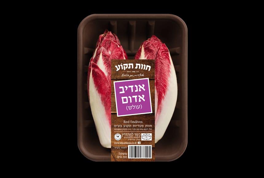 אנדיב אדום במארז