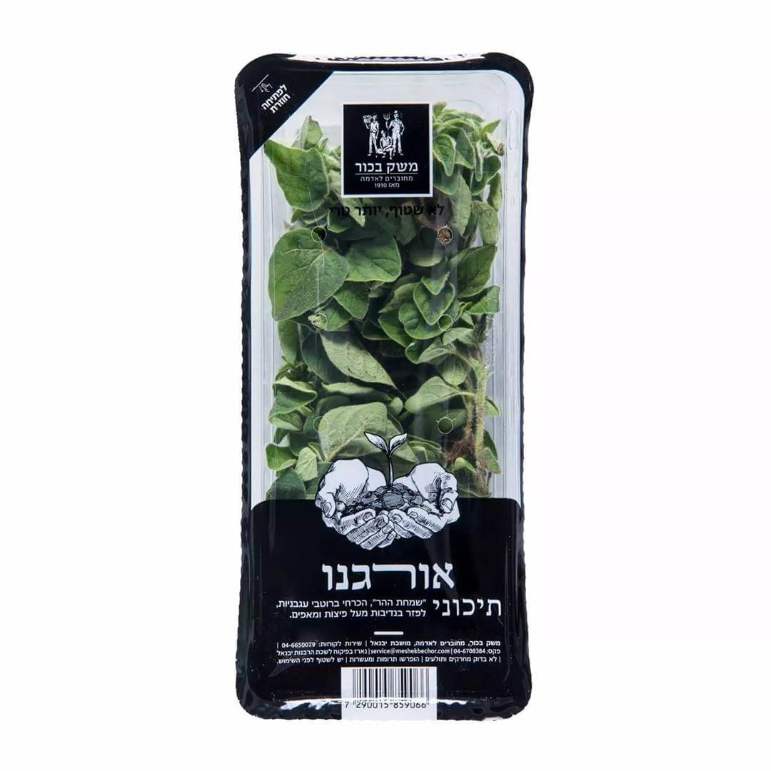 אורגנו טרי 
